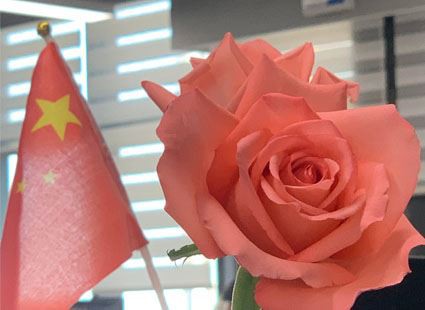 Happy March 8th Women's Day